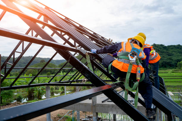Best Flat Roof Repair Services  in Little Falls, MN
