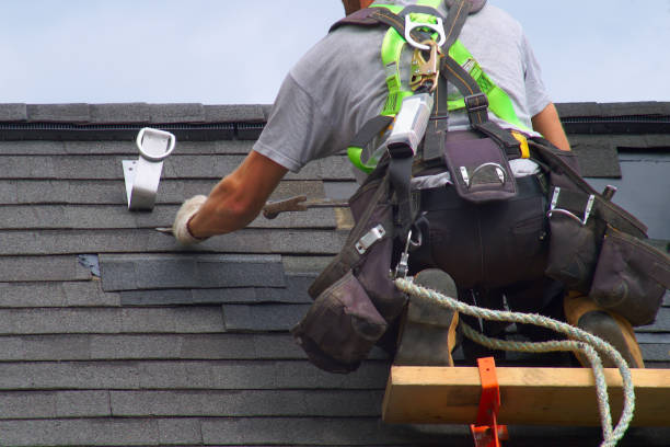 Best Local Roofing Companies  in Little Falls, MN