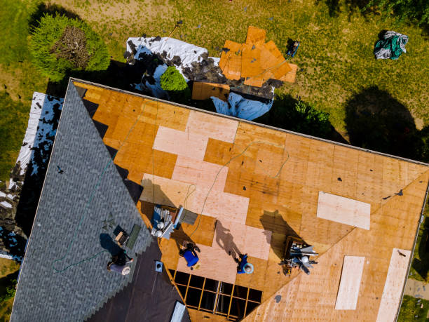 Best Tile Roofing Contractor  in Little Falls, MN