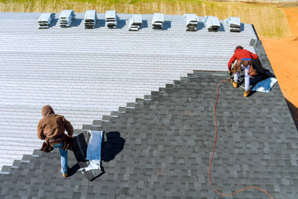 Best Storm Damage Roof Repair  in Little Falls, MN