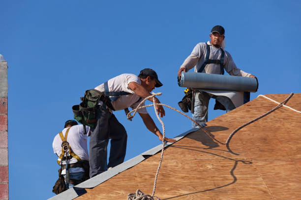 Best Sealant for Roof  in Little Falls, MN
