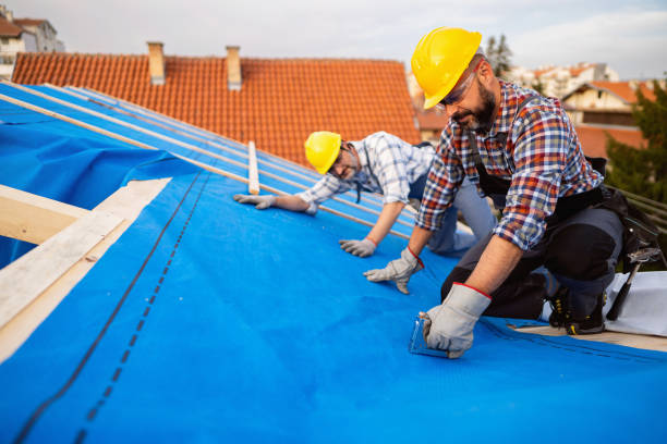 Best Storm Damage Roof Repair  in Little Falls, MN