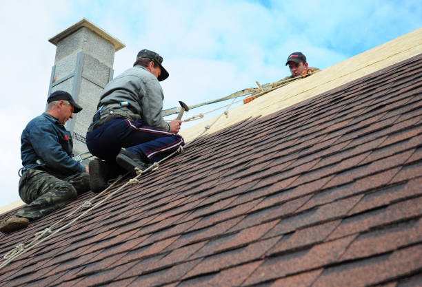 Best Shingle Roofing Installation  in Little Falls, MN