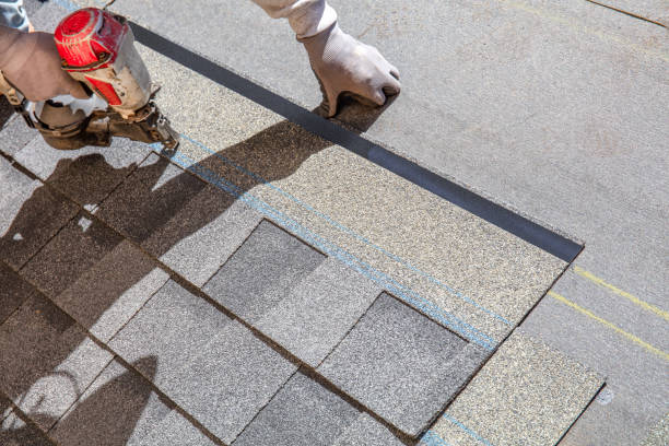 Best Roof Waterproofing Services  in Little Falls, MN