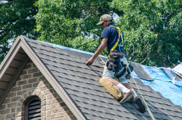 Professional Roofing Contractor in Little Falls, MN